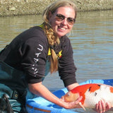 Koi Maas en Waal, koi