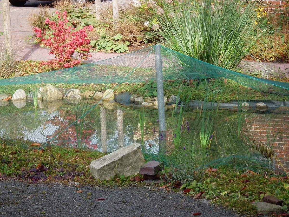 Strak gespannen vijvernet over een tuinvijver in de herfst