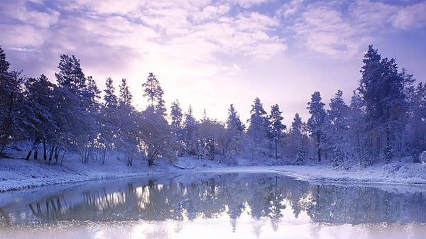 Besneeuwde vijver in een winterlandschap, illustratief voor vijver winterklaar maken