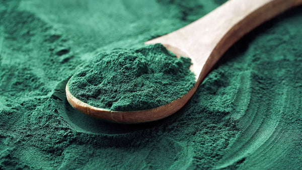 Fijn spirulina-poeder op een houten lepel, een natuurlijk additief voor koivoer