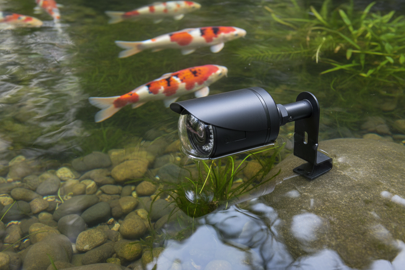 Onderwatercamera voor de Koivijver: Je Koi Bekijken op je Telefoon