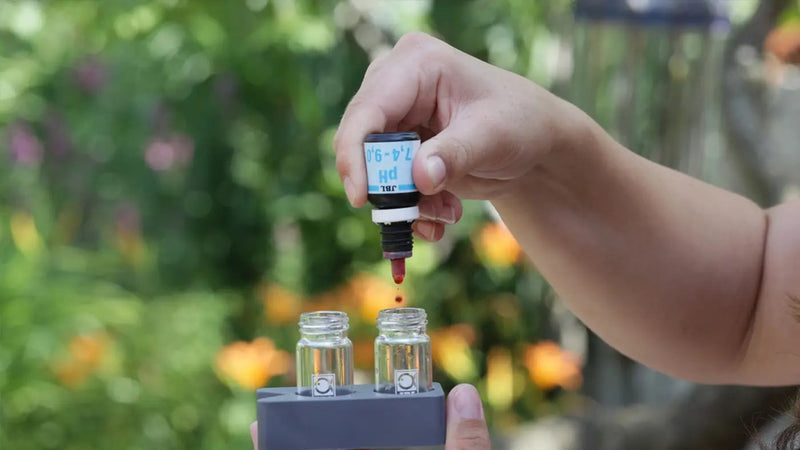Vijverwater testen met druppeltest en meetbuisjes.
