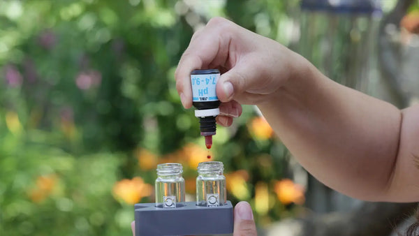 Een hand druppelt pH-reagens in twee testbuisjes met vijverwater, om de waterwaarden te meten.