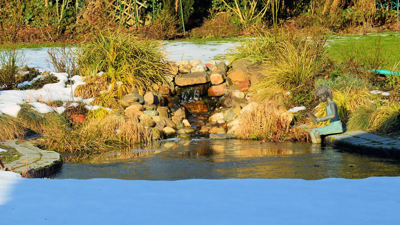 Vijver in een winterse tuin met deels bevroren water en een decoratief beeld, passend bij de geleidelijke voertransitie van winter-naar-lente voer