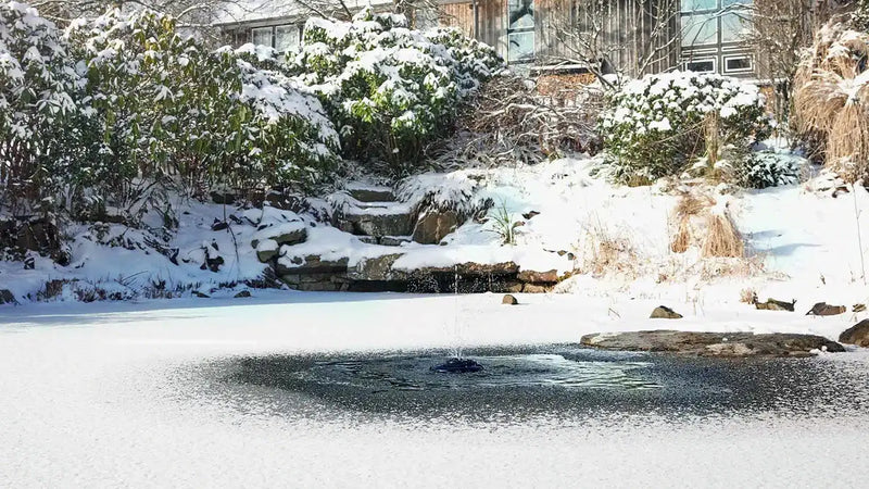 Vijver in de winter met een ijsvrijhouder die zorgt voor een open plek in het bevroren oppervlak.