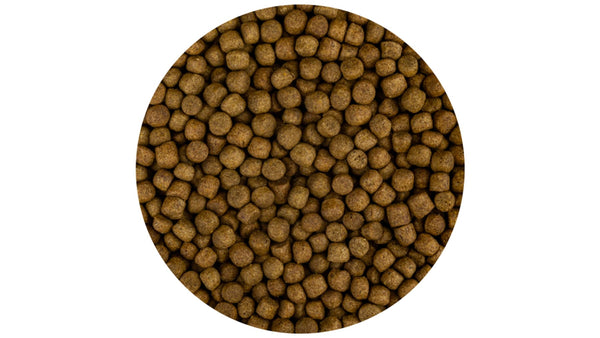 FD Food Koivoer - merkcollectie voor vijverproducten