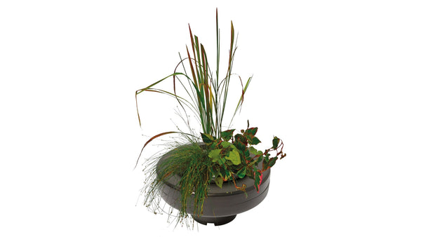 Waterplanten & Benodigdheden