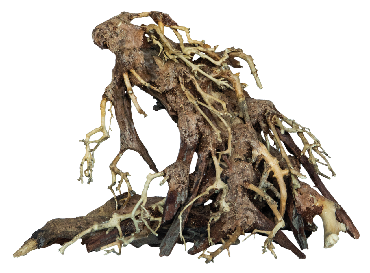 Superfish Bonsai Root Aquarium Decoratie - Small