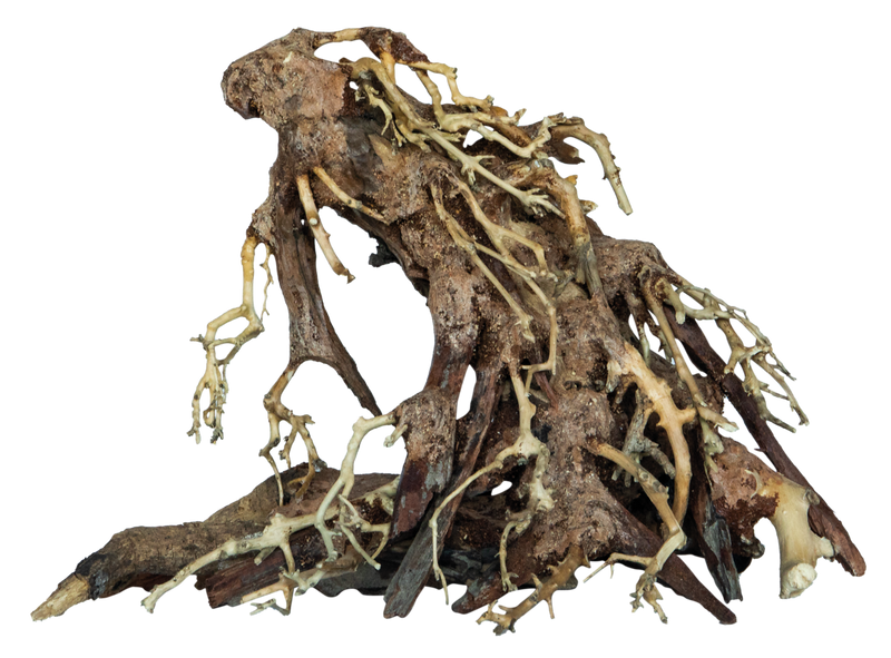 Superfish Bonsai Root Aquarium Decoratie - Small, afbeelding 2 Aquarium Bonsai