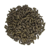Coppens Midori Drijvend Koivoer 15 kg - Insectenvoer koi met astaxanthine, miniatuur 2