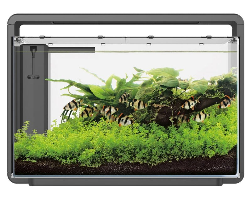 Superfish Home 65 Aquarium Zwart - Compleet Starterset, afbeelding 2 Aquarium