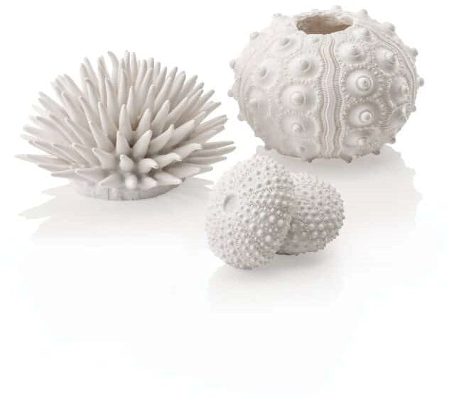 biOrb zee-egel set wit - 3 decoratieve zee-egels voor biOrb aquaria, afbeelding 2 Aquarium Decoratie