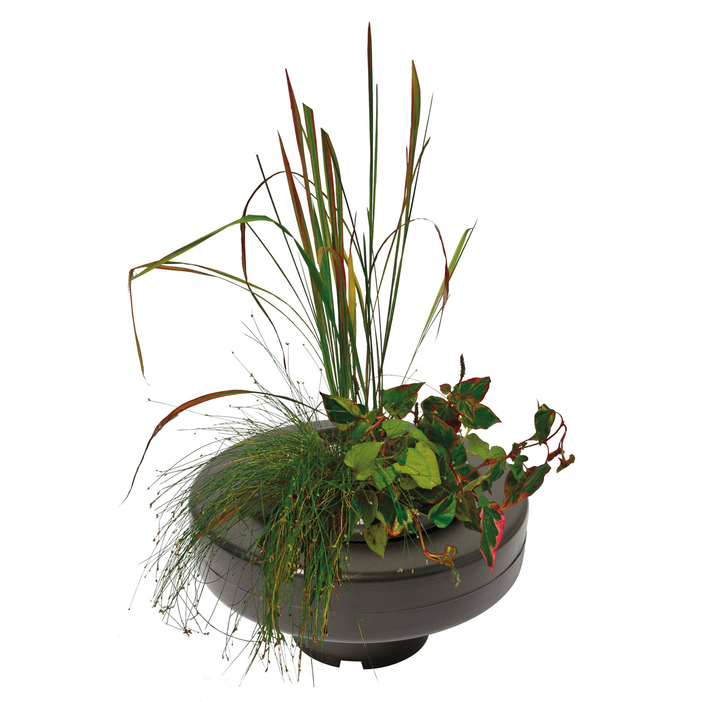 Superfish Floating Plant Basket 30cm - drijvende plantenmand voor vijverplanten