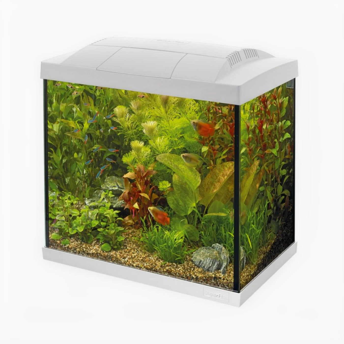 Superfish Start 30 Tropical Kit Wit - productfoto