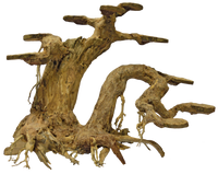 Superfish Bonsai Planter (Maat L), miniatuur 2