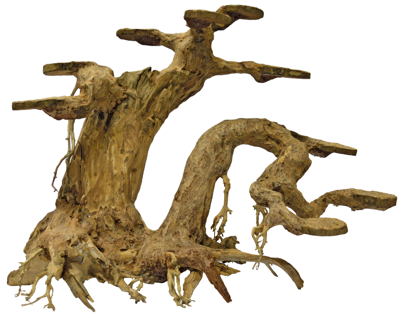 Superfish Bonsai Planter (Maat L)