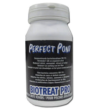 Perfect Pond Biotreat Pro 500 gr - productfoto, miniatuur 2