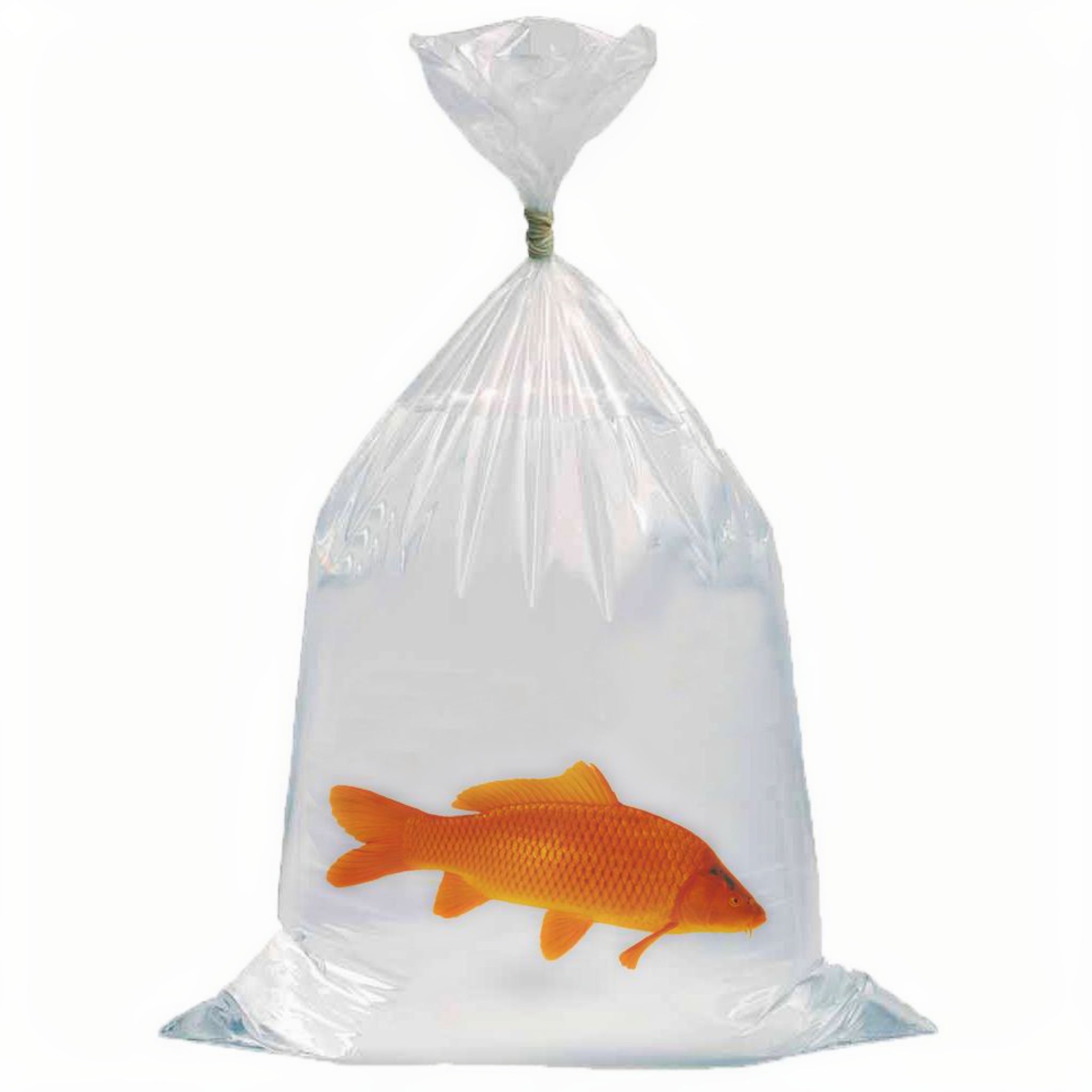 Europond Vistransportzakken 50 x 100cm en 0,06mm dik - Doos (250 stuks) - productfoto