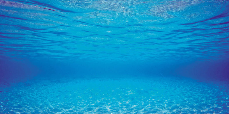 Juwel Achterwand Poster 2 S (60x30cm), afbeelding 3 Aquarium Decoratie