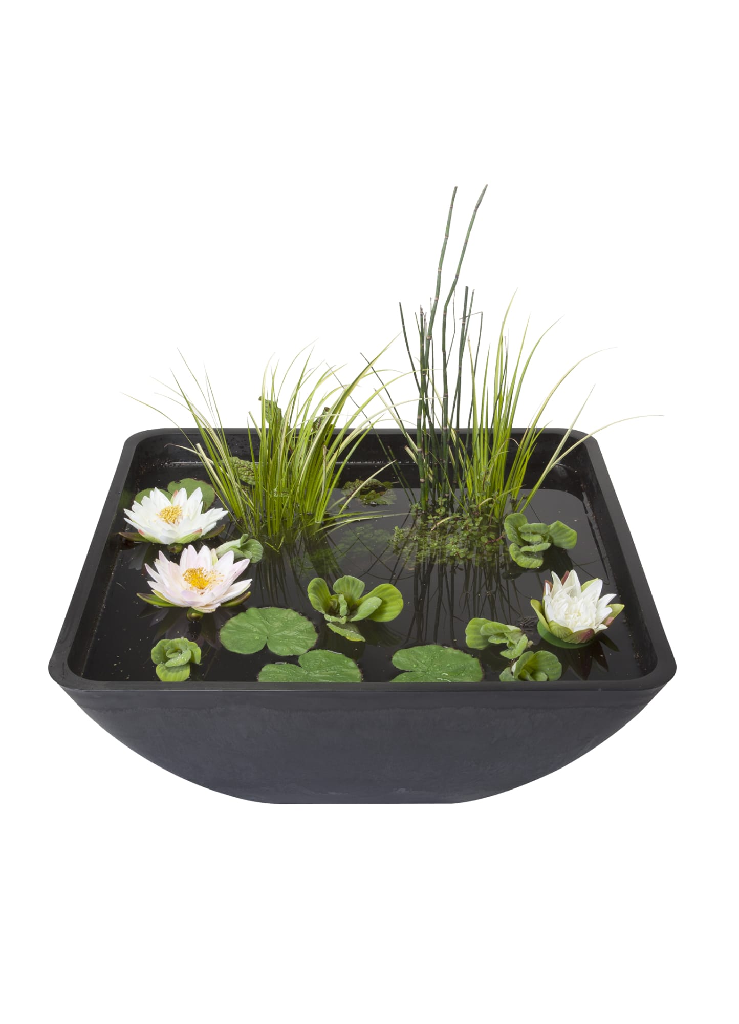 Velda Velda Fountain Pond vk 75x75x35cm | Onderhoudsproduct