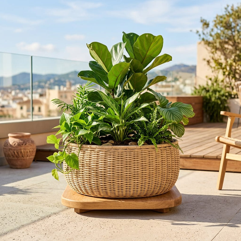 Velda Velda Orbis Planter Antraciet - Wicker plantenbak 70 liter v, Plantenbak bij Vijvercentrum