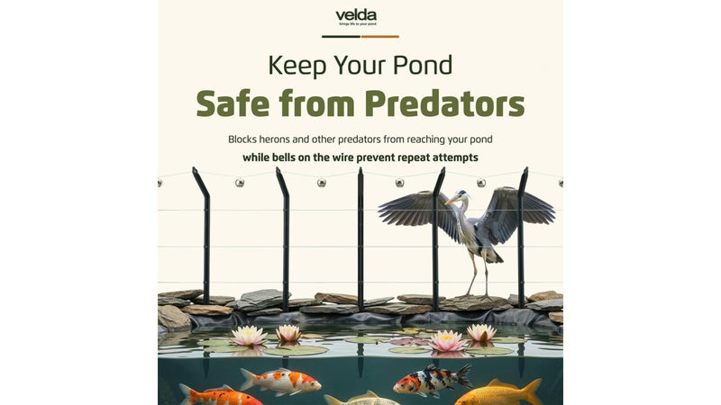 Velda Heron Stop met dubbele nylondraad en belletjes rond een vijver, afbeelding 3 Vijverbescherming