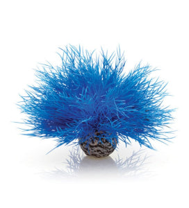 biOrb Zeelelie Blauw - bewegend decoratie-ornament voor biOrb aquarium, afbeelding 2 Aquarium Decoratie