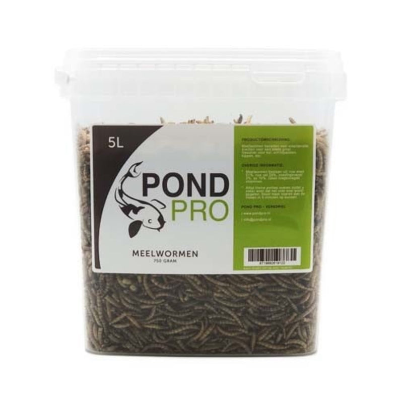 Pond Pro Meelwormen - 5 Liter Emmer - productfoto, Vijversnack bij Vijvercentrum