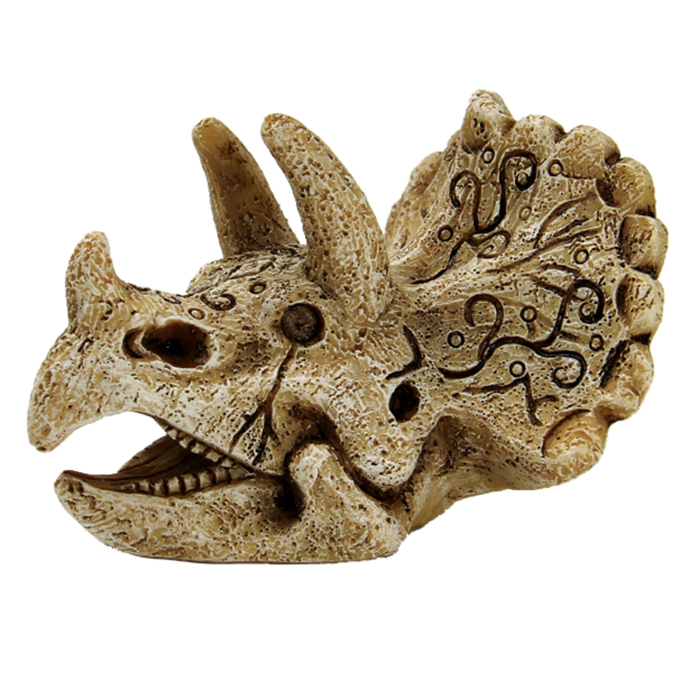 Superfish Skull Triceratops S - productfoto