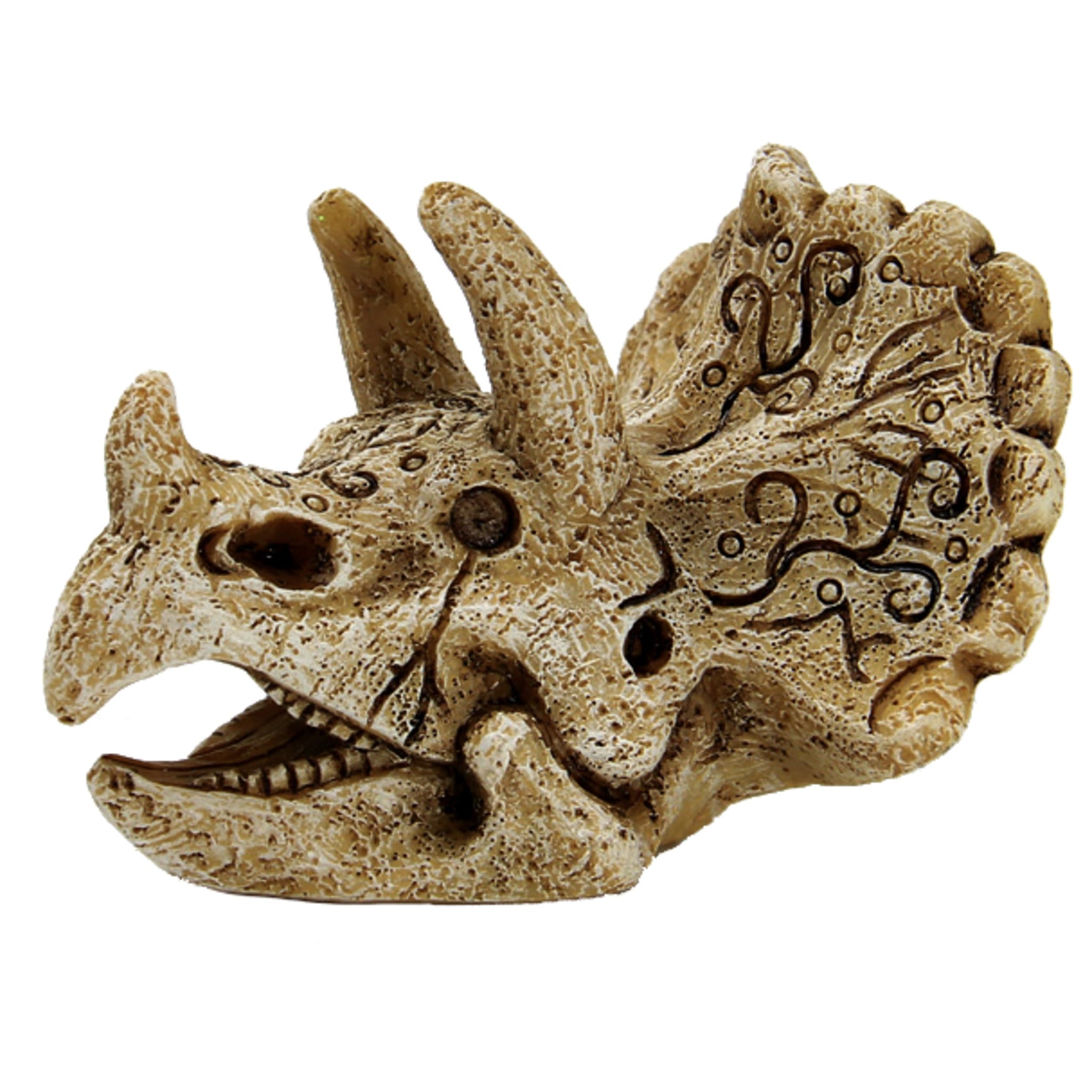 Superfish Skull Triceratops S - productfoto