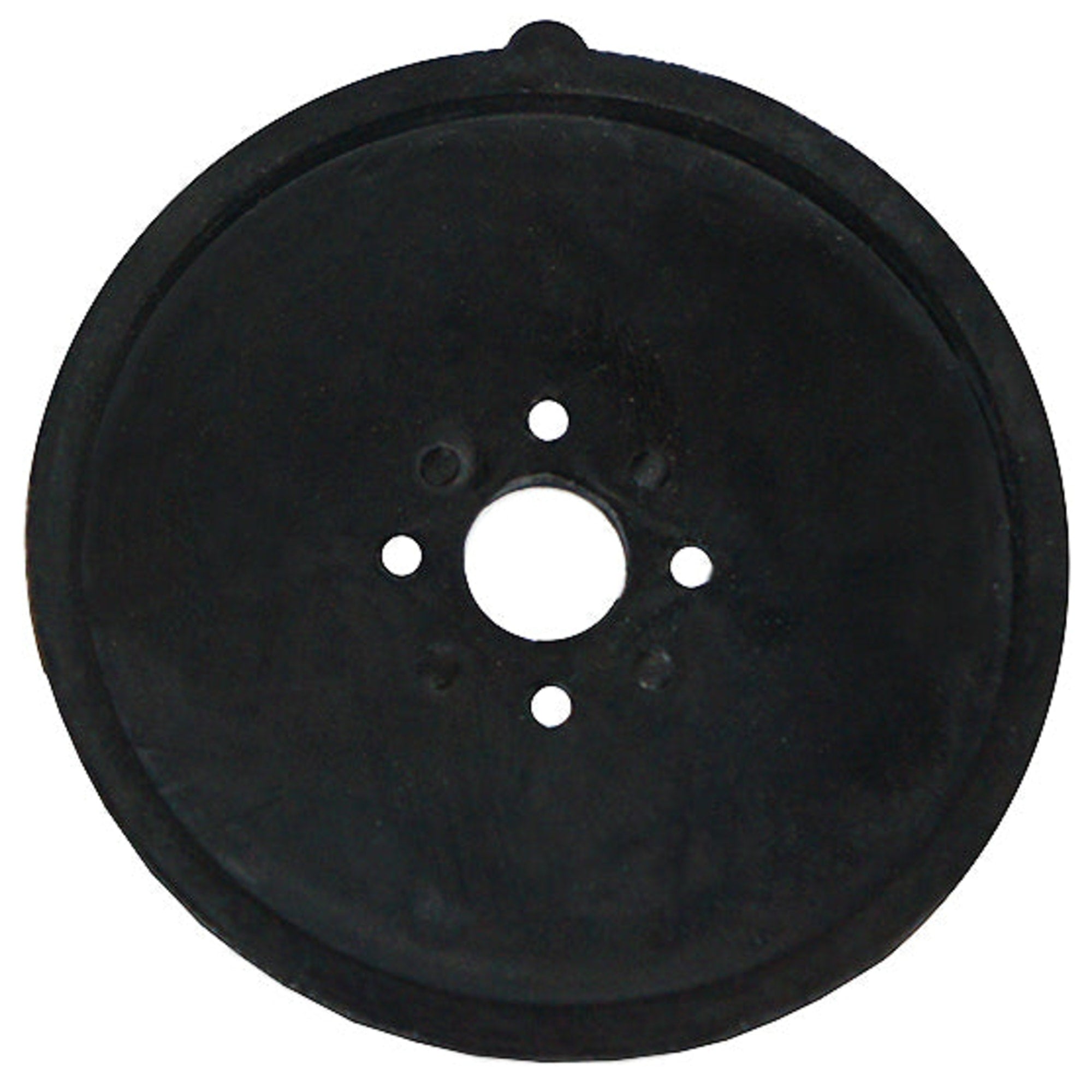 AquaForte Flow V-60 <10-2010 membraan
