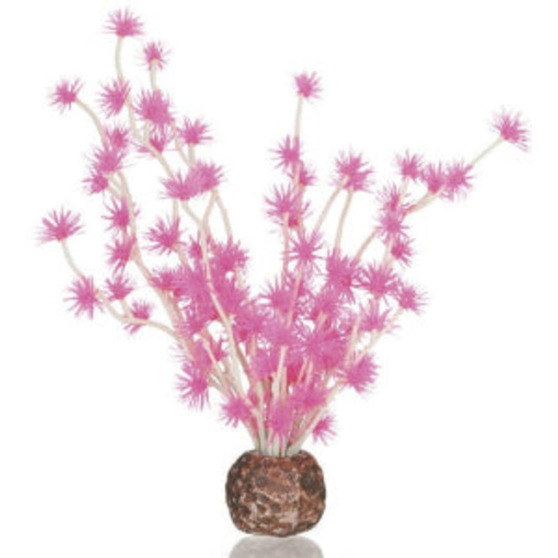 biOrb Bonsai ball roze, Aquarium Decoratie bij Vijvercentrum