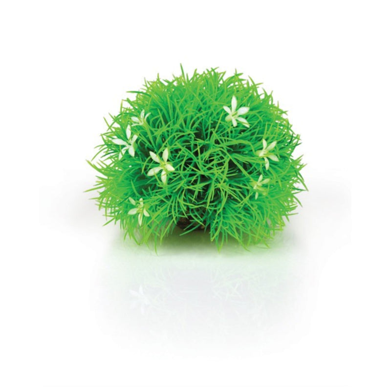 biOrb decobol madeliefje, Aquarium Decoratie bij Vijvercentrum