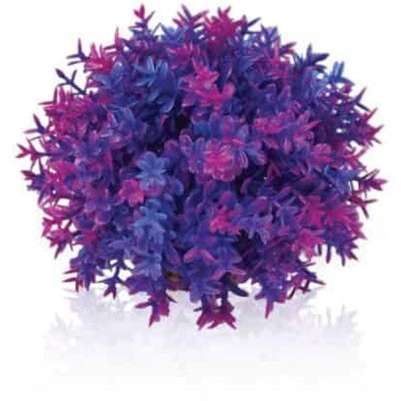 biOrb decobol paars, Aquarium Decoratie bij Vijvercentrum