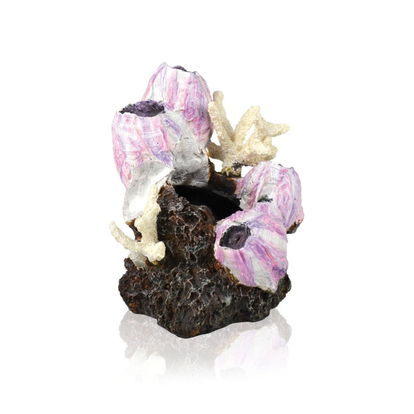 biOrb eendenmossel ornament S roze