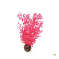 biOrb hoornkoraal klein donkerrood, miniatuur 1