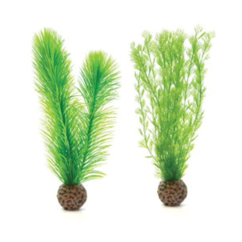 biOrb mannetjesvaren set klein groen, Aquarium Decoratie bij Vijvercentrum