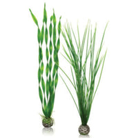 biOrb plantenset groot groen, miniatuur 1