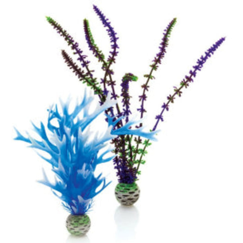 biOrb plantenset medium blauw & paars, Aquarium Decoratie bij Vijvercentrum