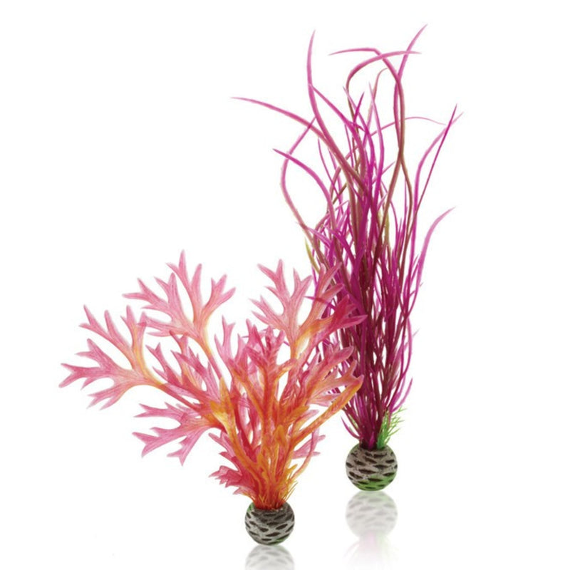 biOrb plantenset medium rood & roze, Aquarium Decoratie bij Vijvercentrum