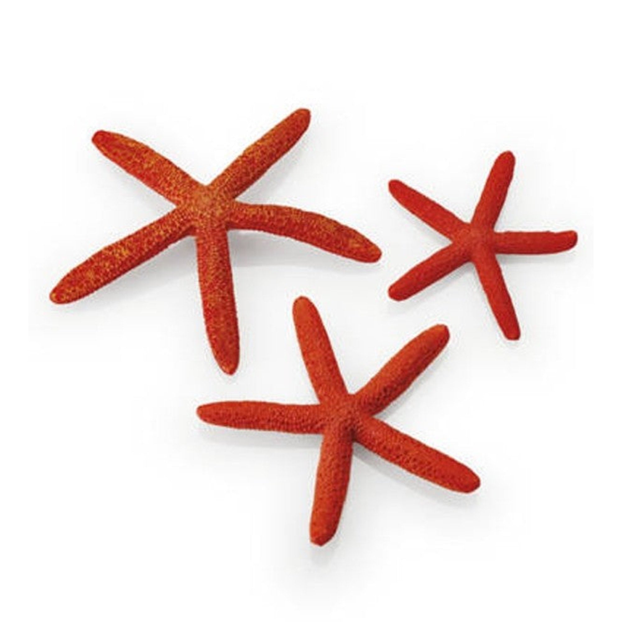 biOrb set zeesterren rood