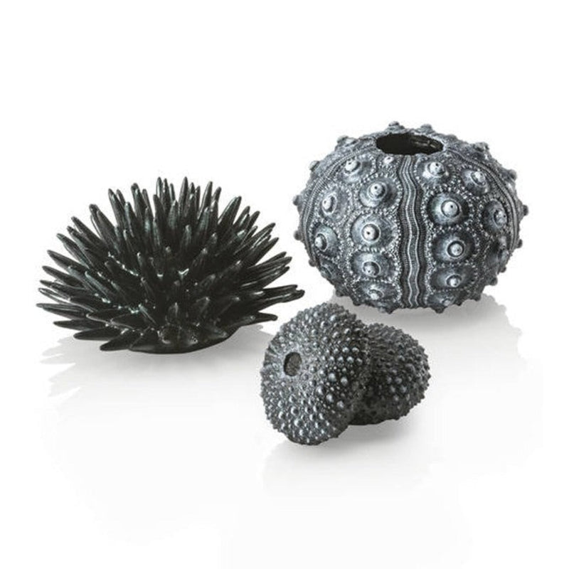biOrb zee-egel set zwart, Aquarium Decoratie bij Vijvercentrum