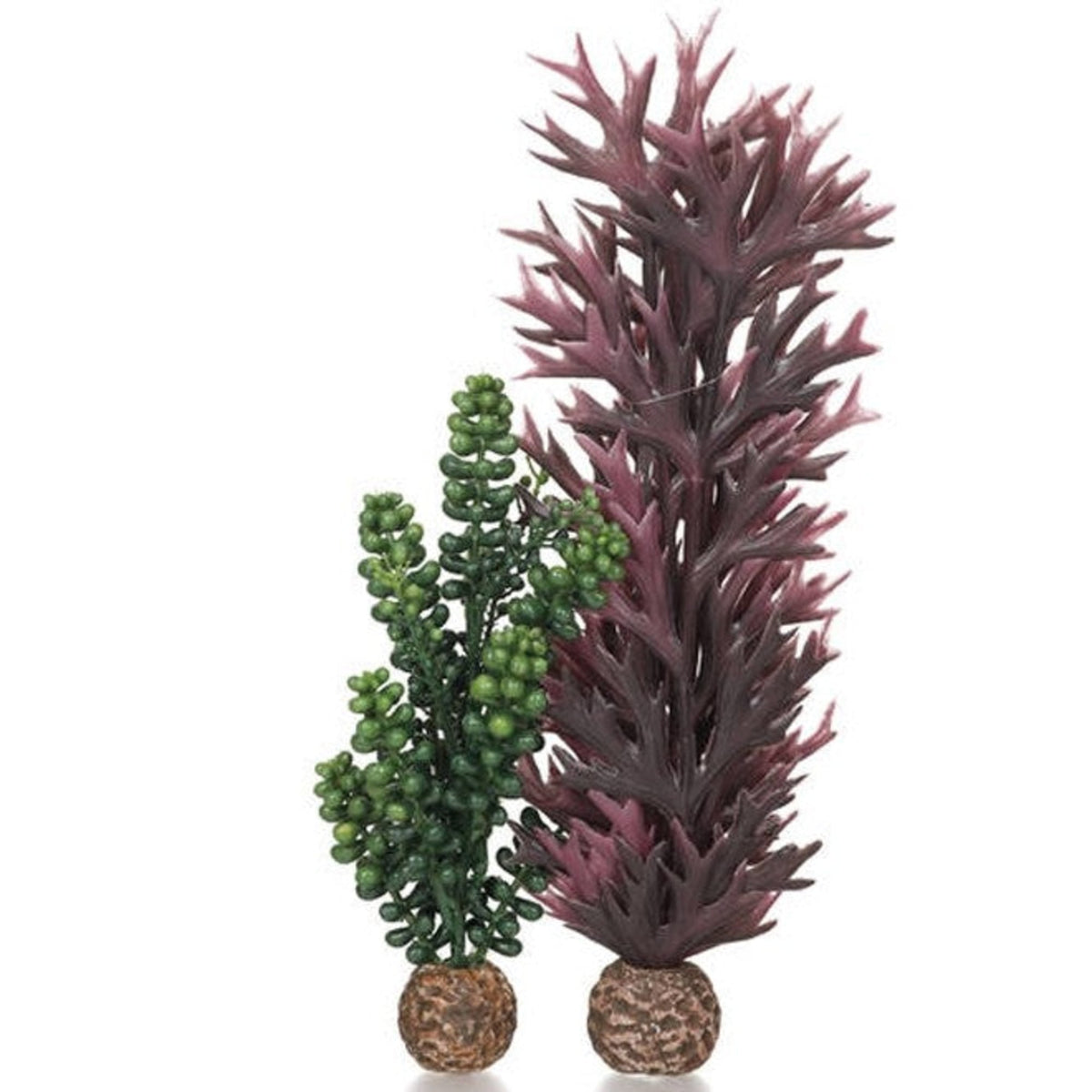 biOrb zeeparels olijfgroen & zeewier paars/rood