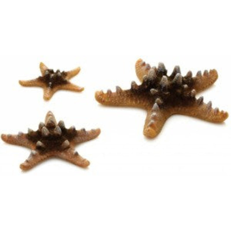 biOrb zeester set 3 natuurlijk, Aquarium Decoratie bij Vijvercentrum