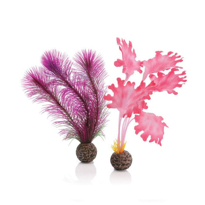 biOrb zeewier set klein roze, Aquarium Decoratie bij Vijvercentrum