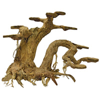 Bonsai Planter Large, miniatuur 1