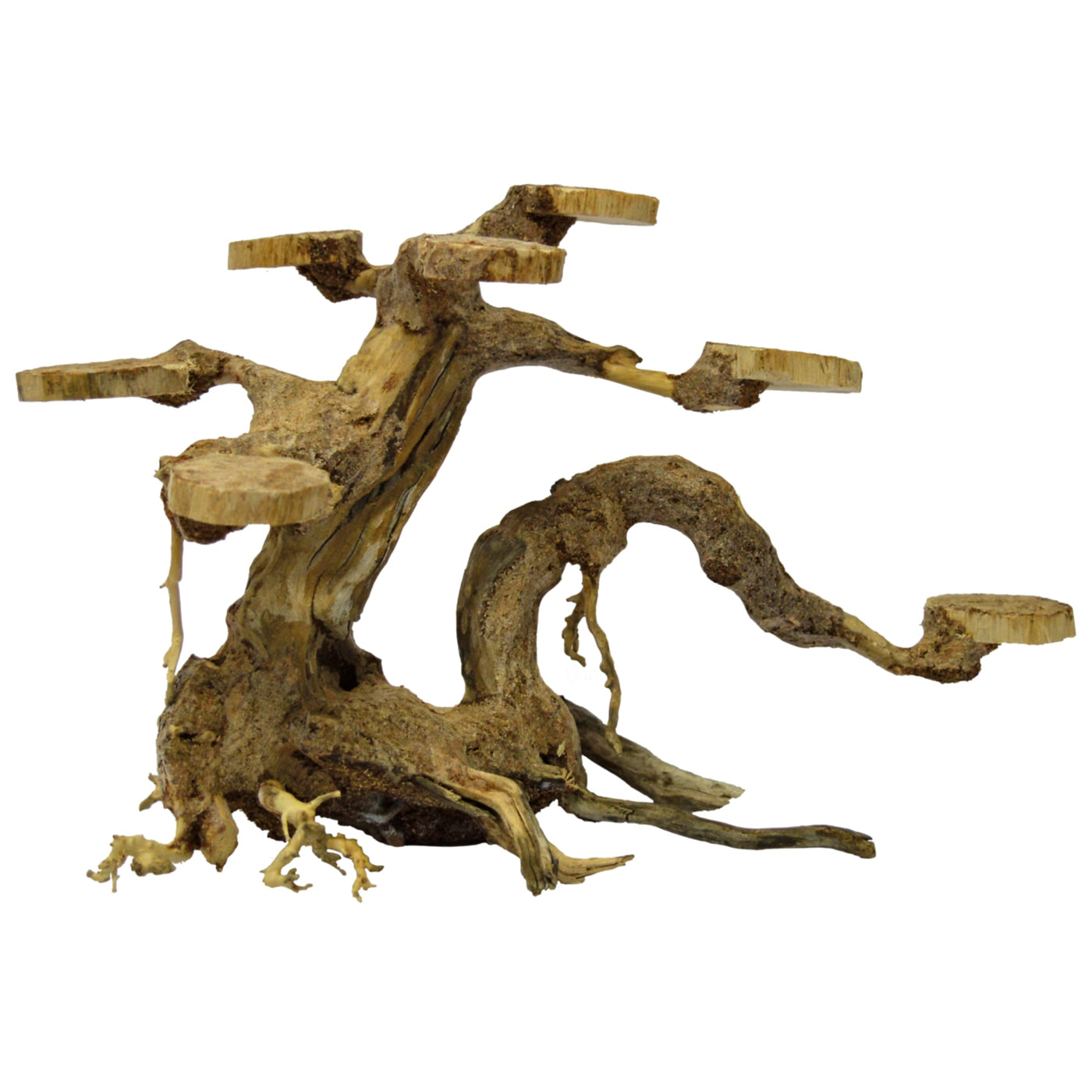 Bonsai Planter Small