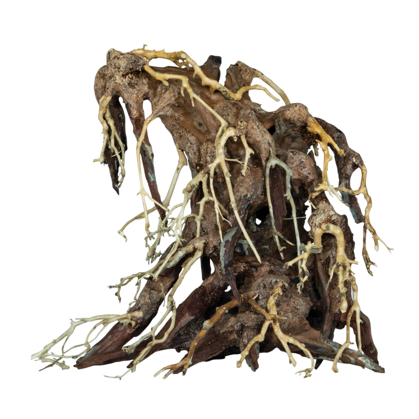 Bonsai Root Medium