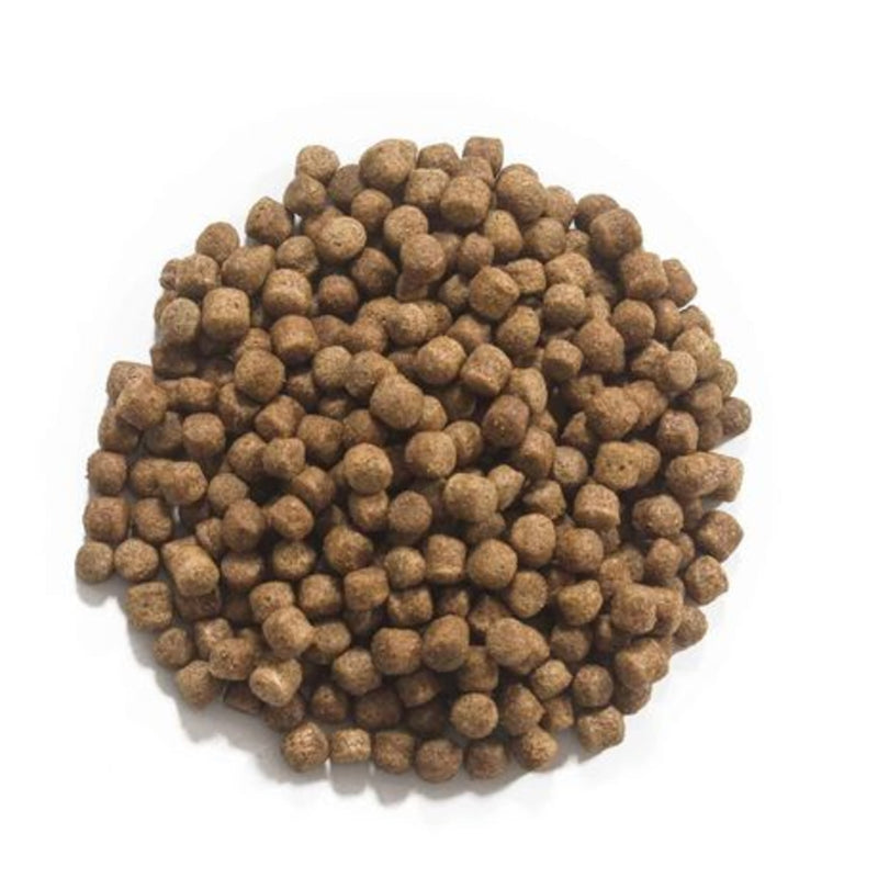 Coppens Koivoer Orange 6 mm 15 kg - productfoto, Koivoer Basis bij Vijvercentrum