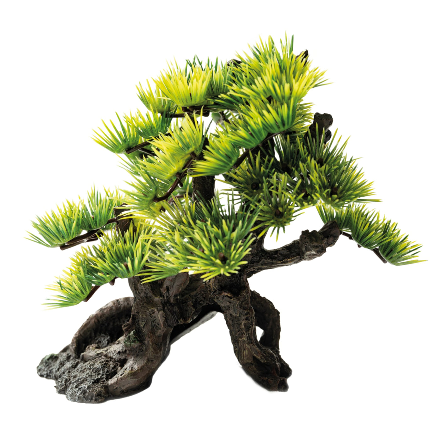 Deco Bonsai S